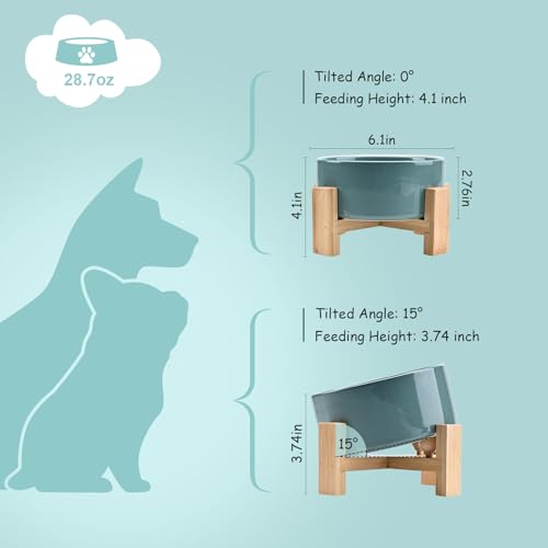 SPUNKYJUNKY 15° Slanted Ceramic Dog and Cat Bowl with Wooden Stand, Tilted Bulldog Food and Water Bowl No Slip Non-Spill for Cats Medium Dogs Big Face Pets 28.7 OZ (3.6 Cups, Light Green) - color: Light Green, size: 3.6 CUPS × 1