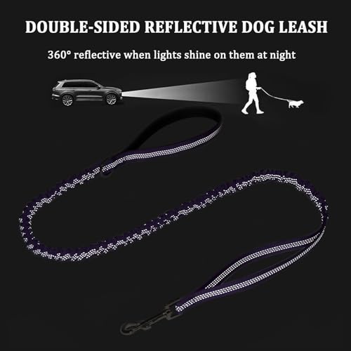 WYuZe 4FT Bungee Dog Leash Shock Absorption Handle for Strong Small Dogs | Stretch to 5.5ft, Soft Padded Handle, Reflective 3/4" Width Nylon Leash for Anti-Pull Training Walking Hiking, Teal - color: Teal