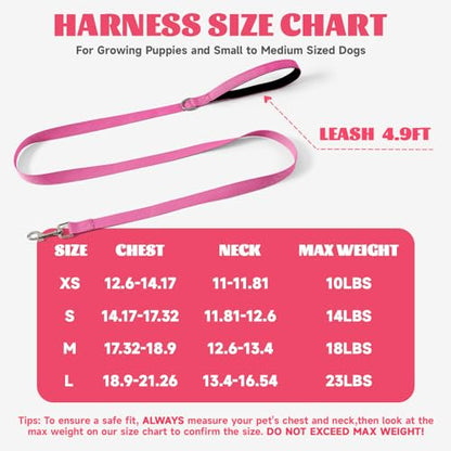 Dog Harness Small Sized and Leash Set, Step in Soft Light Puppy Vest, Breathable Mesh Pet Harness, Reflective for Safe Easy Walking. - color: Pink, size: X-Small (Pack of 1)