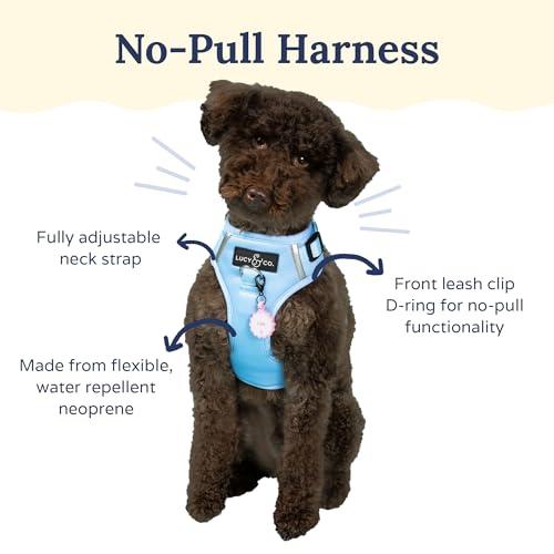 Lucy & Co. The Denim No-Pull Dog Harness - Size X-Large - Vest to Stop Pulling & Walk Easy - Comfortable Leash Training Product w/Adjustable Chest & Neck Straps - color: The Denim No-Pull Harness, size: X-Large
