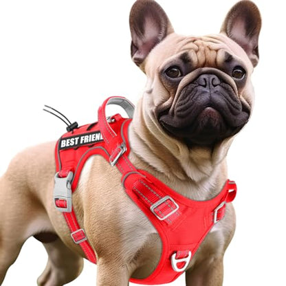 BARKBAY Service Dog Vest Tactical Dog Harness Medium Large Sized Dog No Pull Adjustable Dog Harness Reflective K9 Working Training Easy Control Military Molle System(Red,M) - color: Red, size: Medium