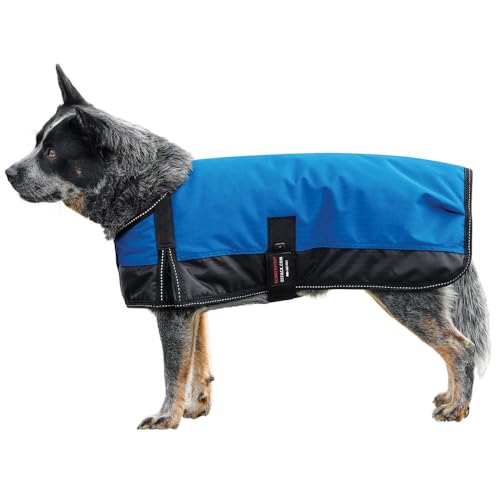 Schneiders Waterproof Reflective Dog Coat II | 600D Polyester Waterproof | Reflective Threading | Soft Nylon Lining | Closed Front and Bellyband Closure | Color Royal | Size Small/Medium - color: Royal, size: Small/Medium