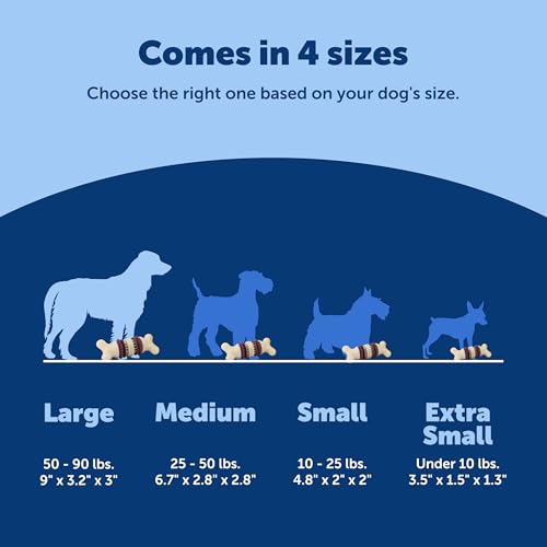 PetSafe Busy Buddy Bristle Bone, Large, Helps Keep Your Dog's Teeth Clean, Long-Lasting Playtime - size: Large, style: Bristle Bone