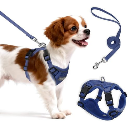 Small Dog Harness and Leash Set, Reflective Soft Breathable Mesh Vest, 3 Buckles, Adjustable Neck and Chest,Step in Dog Harness for Walking, Running, Training, Navy Blue, M - color: Navy Blue, size: Medium