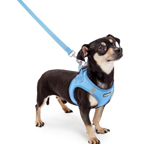 rabbitgoo Dog Harness Small Sized and Leash Set, Step in Soft Light Puppy Vest, Breathable Mesh Pet Harness, Reflective for Safe Easy Walking, Blue XXXS - color: Blue, size: Xxxs (chest: 10.8 - 11.8")