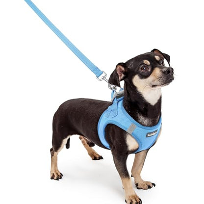 rabbitgoo Dog Harness Small Sized and Leash Set, Step in Soft Light Puppy Vest, Breathable Mesh Pet Harness, Reflective for Safe Easy Walking, Blue XXXS - color: Blue, size: Xxxs (chest: 10.8 - 11.8")
