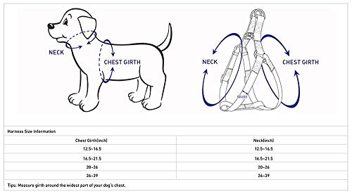 Blueberry Pet Essentials Step-in Dog Harness, Small Size | Adjustable Baby Pink Vest | Classic Solid Nylon for Boy & Girl Dogs, Chest Girth 16.5" - 21.5" - color: Baby Pink, size: Small