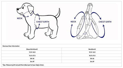 Blueberry Pet Essentials Step-in Dog Harness, Small Size | Adjustable Violet Vest | Classic Solid Nylon for Boy & Girl Dogs, Chest Girth 16.5" - 21.5" - color: Violet, size: Small
