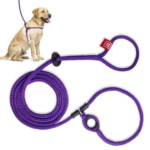 Harness Lead No Pull Dog Harness and Leash Set, Anti Pull Dog Harness, One-Piece Cushioned Rope Safely Prevents Escaping and Pulling (Medium/Large, Purple) - color: Purple