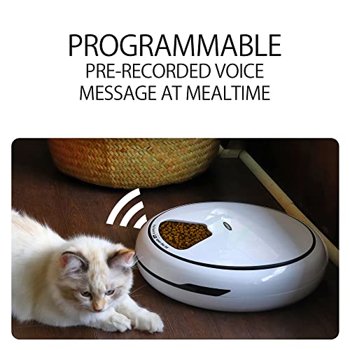 Lentek 5-Meal Automatic Pet Feeder with Voice Recording, Digital Timer, 25 oz Capacity, Food Dispenser for Cats, Dogs & Small Pets