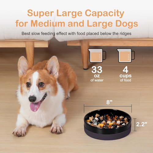 Sted Ceramic Slow Feeder Dog Bowls with Silicone Base, Slow Feeding Dog Bowl Small Medium Breed, Dogs Foods Bowls for Fast Eaters, Puzzle Dogs Food Bowl, Maze Black - color: Black, size: Medium-8 inches