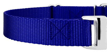 Country Brook Petz - Martingale Dog Collar - Heavy Duty Nylon Adjustable Martingale Dog Collar with Premium Buckle for Small Medium Large Breeds (5/8 Inch, Extra Small, Bright Royal Blue) - color: Bright Royal Blue, size: Extra Small (Pack of 1)