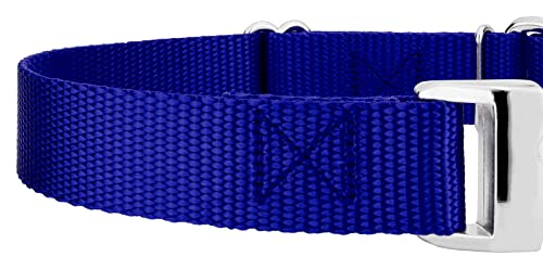 Country Brook Petz - Martingale Dog Collar - Heavy Duty Nylon Adjustable Martingale Dog Collar with Premium Buckle for Small Medium Large Breeds (5/8 Inch, Extra Small, Bright Royal Blue) - color: Bright Royal Blue, size: Extra Small (Pack of 1)
