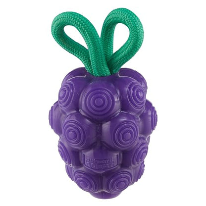 Outward Hound Dental Grapes Dog Toy & Treat Stuffer, 6″ x 3″ Grape-Scent Interactive Chew for Dogs, Helps Clean Teeth, Promote Healthy Gums & Mental Enrichment, Reduce Boredom & Support Dental Health - color: Grape