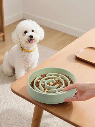 Ceramic Slow Feeder Dog Bowl,1.5 Cups Pet Slow Feeder for Small and Medium Breed,Puzzle Dog Food Dish,Anti-Gulping,Stop Bloat,Preventing Choking - color: Green - A