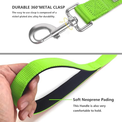 Basic Dog Leashes 6 FT Padded Handle Nylon Dogs Leashes for Small Dogs Green - color: Green, size: Small : 5/8" x 6 FT