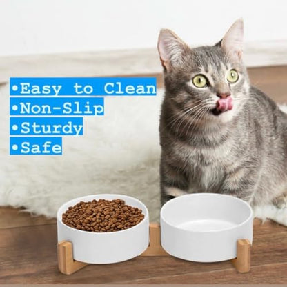 Ceramic Cat and Small Dog Bowl Set – Modern Indoor Small Size Pet Food and Water Bowls with Wood Stand – Non Slip Puppy Sized Feeding Station with Double Dishes (White) - color: White