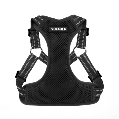 Best Pet Supplies Voyager Adjustable Step-in Flex Breathable Mesh Dog Harness for Small Medium Large Dogs (Black), S - color: Harness (Black), size: S