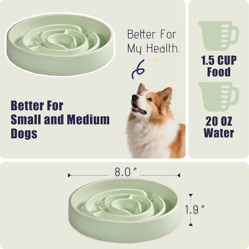 Ceramic Slow Feeder Dog Bowl,1.5 Cups Pet Slow Feeder for Small and Medium Breed,Puzzle Dog Food Dish,Anti-Gulping,Stop Bloat,Preventing Choking - color: Green - A