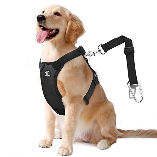 VavoPaw Dog Seat Belt, Safety Vest Dog Car Harness with Adjustable Buckle Dog Seat Belt for Vehicle Nylon Pet Safety Seat Belts Heavy Duty(XL, Black) - color: Black, size: XL (Chest: 24.4-34.7", Neck: 18.9-29.1")