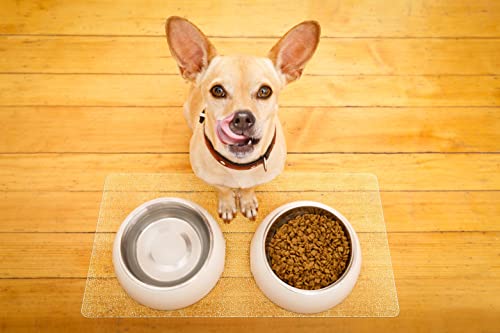 Clear Pet Bowl Mat - USA Made - Waterproof - 22 x 33 Inch - 2mm Thick Pebbled Vinyl - Dog Crate & Bird Cage Mat - color: Riverstone, size: 22 x 33 Inches