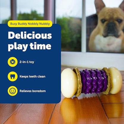 PetSafe Busy Buddy Nobbly Nubbly Treat Holding Dog Toy Strong Chewers Large - size: Large, style: Nobbly Nubbly