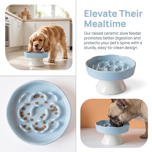 Elevated Ceramic Slow Feeder Dog Bowl | Raised Maze Puzzle Feeder Small Medium Dogs | Anti-Vomit Reduces Bloating | Non-Slip Enrichment Puppy Bowl - color: Blue