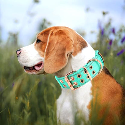 Heavy Duty Tactical Dog Collar with Neoprene Padded and Metal Buckle, Reflective Nylon for Medium to Large Dogs(Teal, Medium) - color: Teal, size: Medium (Pack of 1)