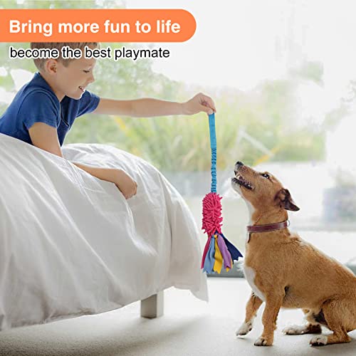 Wodoca Dog Tug Toy - Aggressive Chewer Rope Toy with Strong Squeak, Ideal for Large Dogs, Easy to Clean, Hand Made - color: Red Chenille, Blue Webbing
