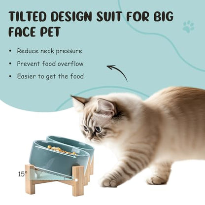 SPUNKYJUNKY 15° Slanted Ceramic Dog and Cat Bowl with Wooden Stand, Tilted Bulldog Food and Water Bowl No Slip Non-Spill for Cats Medium Dogs Big Face Pets 13.5 OZ (1.7 Cups, Light Green × 2) - color: Light Green, size: 1.7 CUPS × 2