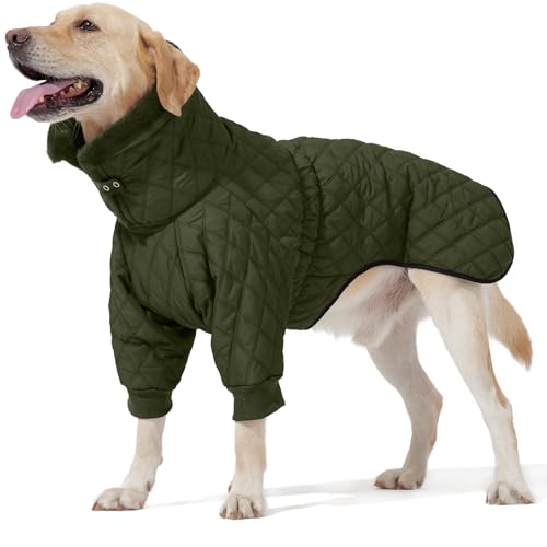 Warm Dog Coat with Double Zipper, Winter Dog Clothes for Small Medium Large Dogs, Turtleneck Dog Puffer Jacket, Two Legs Dog Cold Weather Coats, Wind & Waterproof Dog Winter Jacket - color: Green, size: Medium