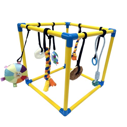 Dewonch Puppy Play Gym with 8 Hanging Toys, Small Dogs Indoor Jungle Gym, PVC Frame with Bungee Straps Enrichment Activity Center