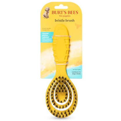 Burt's Bees for Pets Small Bristle Brush with Natural Boar’s Hair & Nylon | Handle Made from Recycled Plastics Collected from Coastal Communities | De-Shedding Eco Friendly Dog Grooming Brush - color: Plastic Bristle Brush, size: 7 Inch
