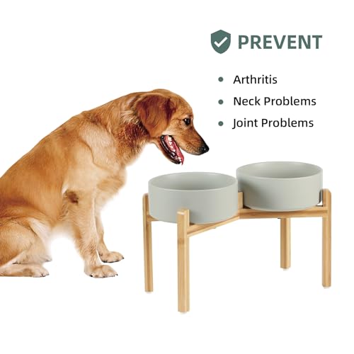 Havniva 8.3” Dog Bowls Elevated Ceramic Dog Food and Water Bowl Set, Double Raised Dog Water Bowl with Stand Non-Slip Rubber Base Large Capacity Feeding Pet Food Bowl for Large Dogs - color: Matte Gray - 2 Bowls+Stand, size: 8.3 Inch