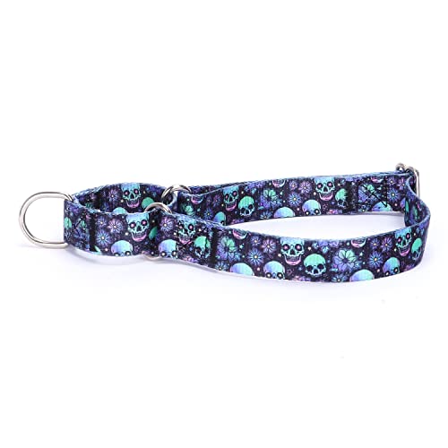 Heavy Duty Nylon Dog Collar, Adjustable Martingale Dog Collar for Walking Training Boy and Girl Dogs Medium Large Dogs (XL:53-62CM, Skulls) - color: Skulls, size: X-Large