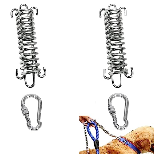 2 Pack Metal Bungee Leash Extension for Large Dogs, Tie Out Cable Attachment, Shock Absorbing Leash Spring for Training, Running