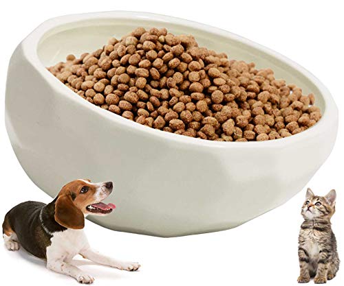 kathson Slanted Ceramic Dog Bowl Tilted 15° Cat Food Water Bowls Dish Animal Pet Comfort Feeding Bowls Heavy Weighted Feeder for Wet or Dry Food (White) - color: White