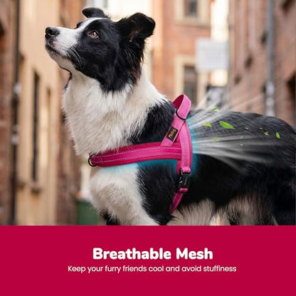 Didog No Pull Dog Harness with Breathable Mesh Padded,Reflective & Quick Fit Light Weight Dog Strap Vest Harness,Easy for Walking Training (M:Chest 21-26", Mesh-Hot Pink) - color: Hot Pink, size: M: Chest 21-26", Fit 28-50 lbs
