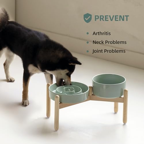 Havniva 8.2” Raised Slow Feeder Dog Bowls Set, 1.6 Cups Ceramic Slow Feeder Dog Bowl and 7.3” Dog Water Bowl with Elevated Wooden Stand Puzzle Dog Food Bowl for Medium Dogs Anti-Gulping & Anti-Choking - color: 2 x Light Green+Stand-A, size: 8.2inch
