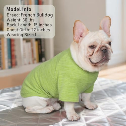 KYEESE 3Pack Dog Sweater, Soft Puppy Sweatshirt Stretchy Pullover Dog Sweater for Small Dogs Girl Boy, Fleece Lightweight Cat Shirt Pet Clothes with Sleeves, M - color: 09# Green, size: Medium (8.5-13lbs)