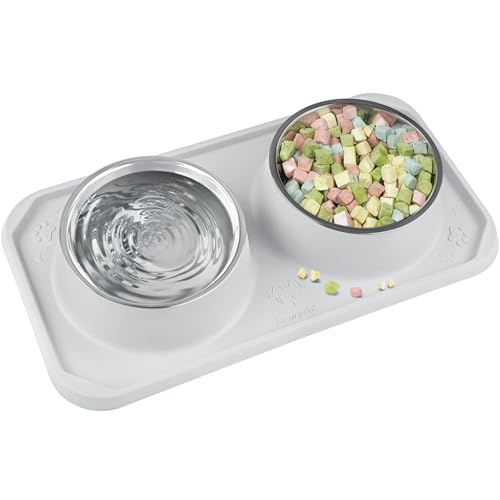 Cat Bowls for Food and Water, Premium Removable Stainless Steel Double Bowls with Non-Slip Bottom & Elevated Stand for Pet and Small Dogs,Upgrade Non-Spill Cat Food Feeder (Light Grey) - color: Light Grey-New
