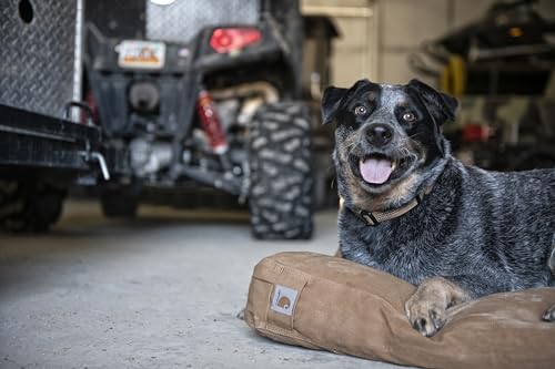 Carhartt Durable Canvas Pet Bed, Water Resistant Firm Duck Dog Bed, Dark Brown, Medium - color: Dark Brown, size: Medium