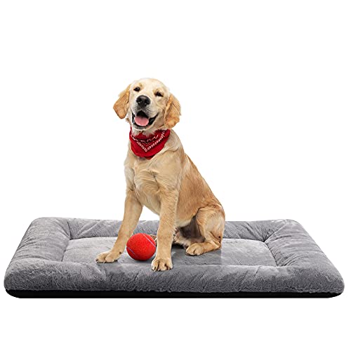 Dog Beds Crate Pad for Medium/Large Dogs Fit Metal,Ultra Soft, Washable & Anti-Slip Kennel Pad for Dogs Cozy Sleeping Mat,Gray 36inch - color: gray, size: 36.0"L x 23.0"W x 1.0"Th