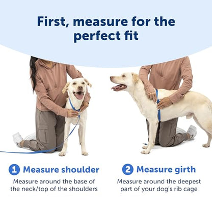 PetSafe Easy Walk Comfort No-Pull Dog Harness Full-Body Padding - Better Walks on the First Use - 5 Points of Adjustment X-Small, Black - color: Black, size: Extra Small