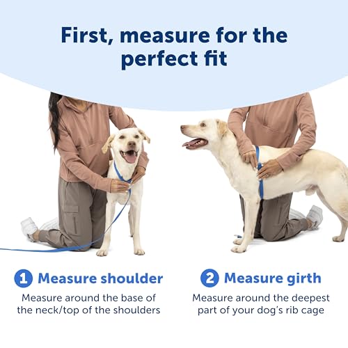 PetSafe Easy Walk Comfort No-Pull Dog Harness Full-Body Padding - Better Walks on the First Use - 5 Points of Adjustment Medium, Green - color: Green, size: Medium