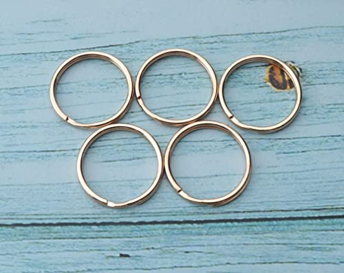 5 Pcs Dog Tag Clips with 5 Pcs 3/4 Inch Keychain and 1 Inch Keychain Gold Metal Dog Tag Rings for Pet Kitten Cat Collars ID Holder Harnesses