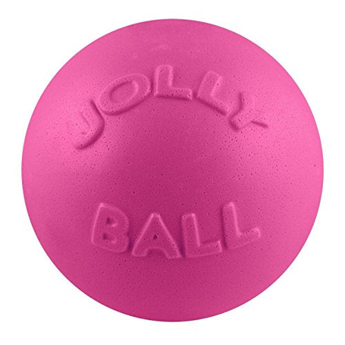 Jolly Pets Bounce-n-Play Dog Toy Ball, 8 Inches/Large, Blueberry, (Model: 2508 BB) - color: Blueberry, size: Large (8 in)