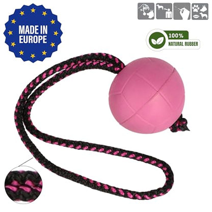 Dingo Dog Ball with Short Handle, Water Toy, Natural Rubber, Pink BIBI