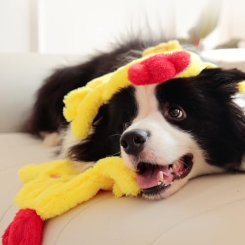 Tamu style Dog Chicken Crinkle Toy, Plush Squeaky 14 Inches, No Stuffing Design for Small Medium Dogs, Interactive Toy for Pet Training and Playing
