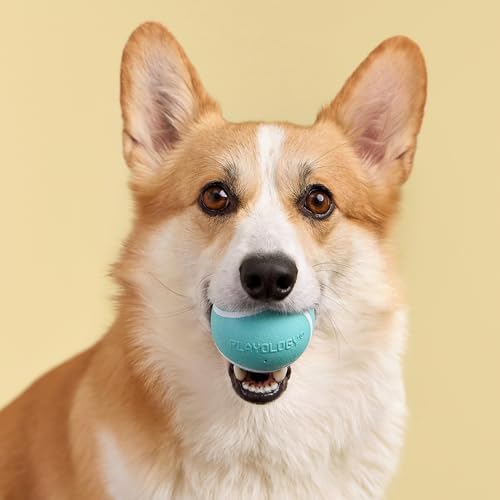 Playology Dog Toys | Squeaky Chew Ball for Dogs | Peanut Butter Scented Medium Dog Ball | Bouncy Floating Chew Toys for Fetch - size: Medium, style: Peanut Butter